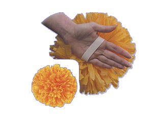 Solid Hand Poms